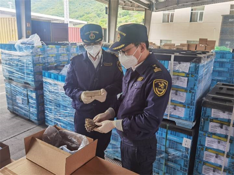 Buitenlandse handel bevorderen om de stabiliteit te waarborgen en de kwaliteit te verbeteren De douane van Ningbo heeft 20 