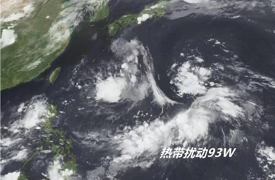 Tyfoon Sundar komt eraan? Verwacht wordt dat de hoge temperatuur in Ningbo de onweersbui in de middag voor het einde van de maand zal verzachten