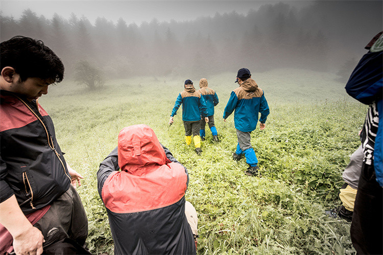 Wat is SURVIVA Wilderness Survival?